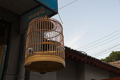 策略冒险游戏《幽灵守护者》Steam页面 2025年发行